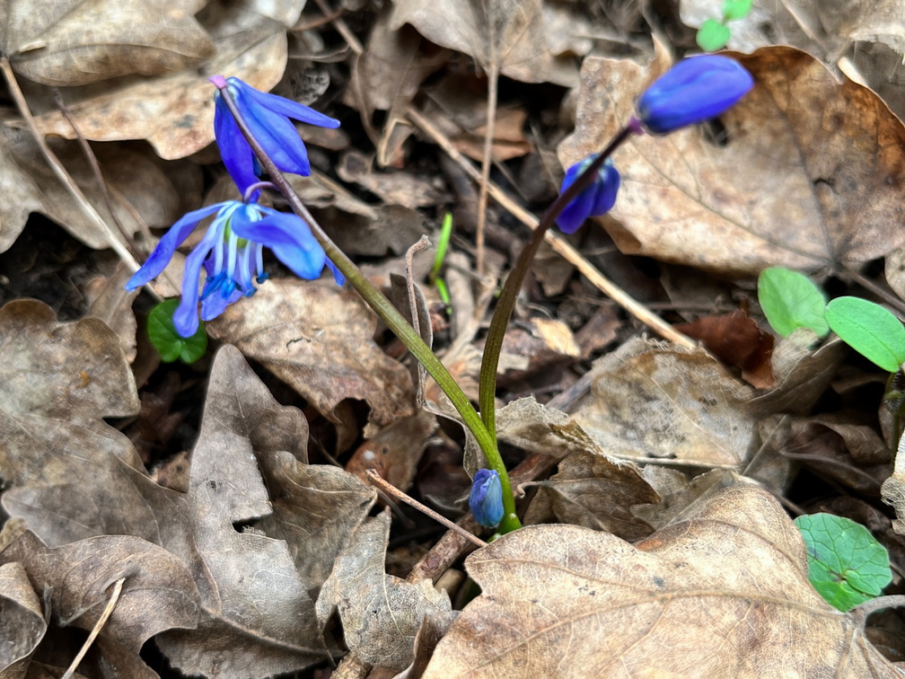 23-02-18 16-16-24 4276